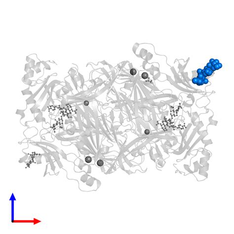 3hig|PDB 3hig structure summary ‹ Protein Data Bank in Europe .